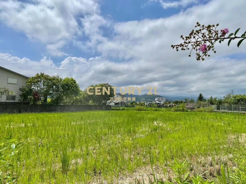 LC183員山大鬮大面寬農地