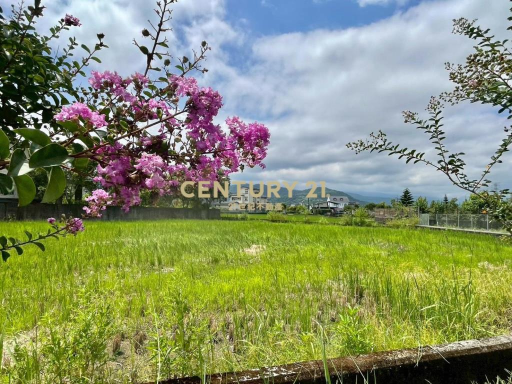 LC183員山大鬮大面寬農地
