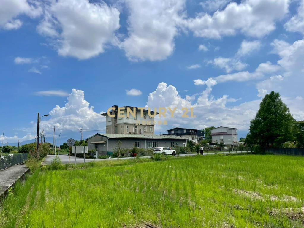 LC183員山大鬮大面寬農地