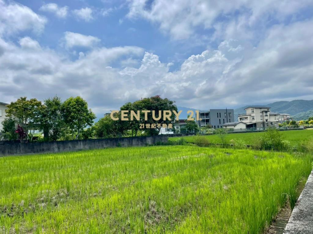 LC183員山大鬮大面寬農地
