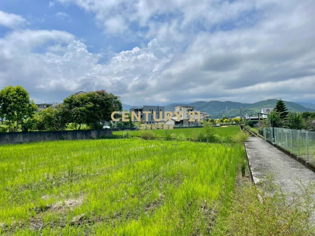 LC183員山大鬮大面寬農地