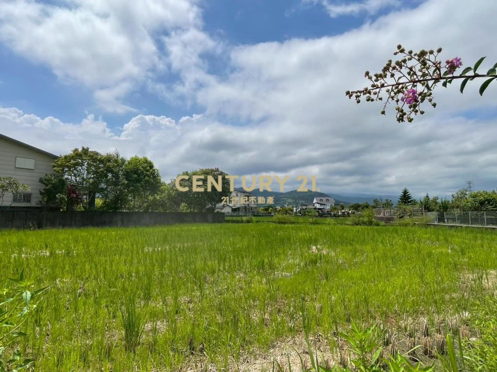 LC183員山大鬮大面寬農地