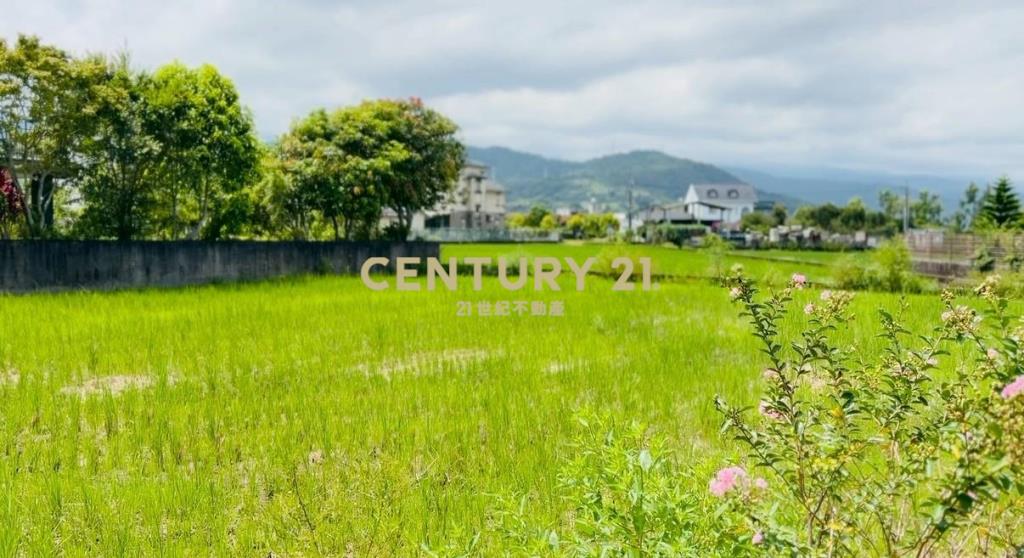 LC183員山大鬮大面寬農地
