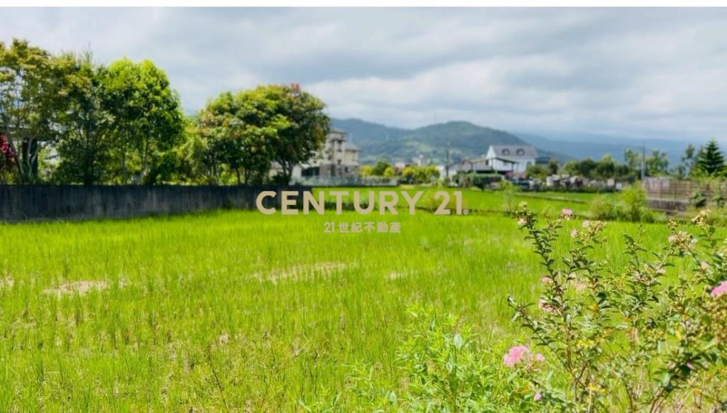 LC183員山大鬮大面寬農地