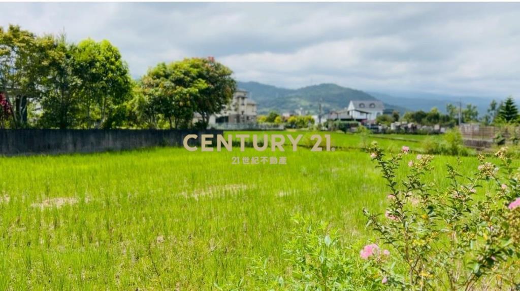 LC183員山大鬮大面寬農地