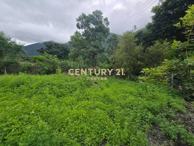 LC184金岳好山好水秘境小農地