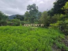 LC184金岳好山好水秘境小農地