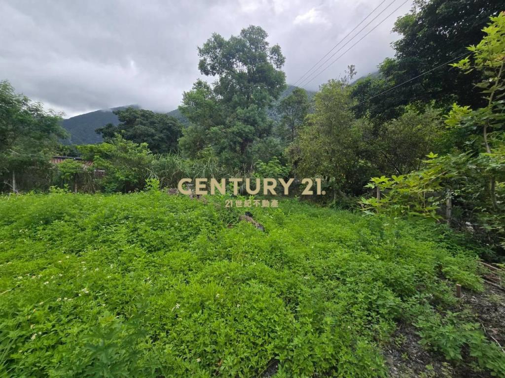 LC184金岳好山好水秘境小農地