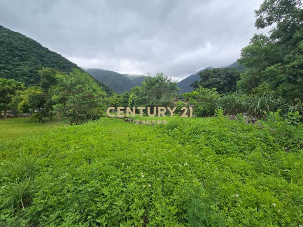 LC184金岳好山好水秘境小農地