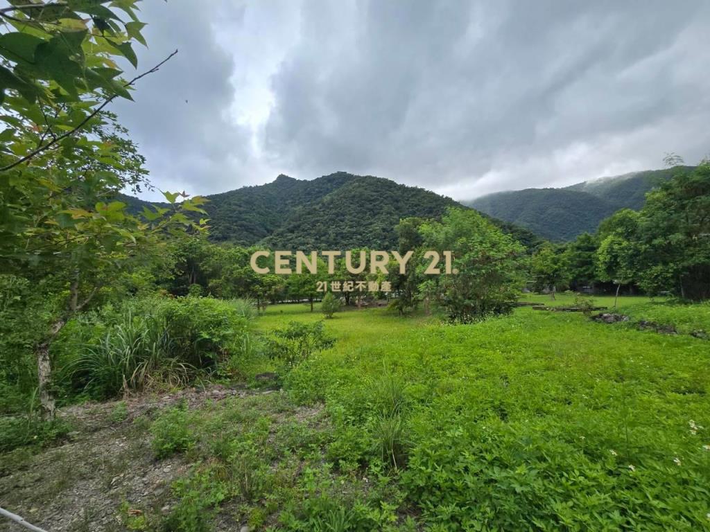 LC184金岳好山好水秘境小農地