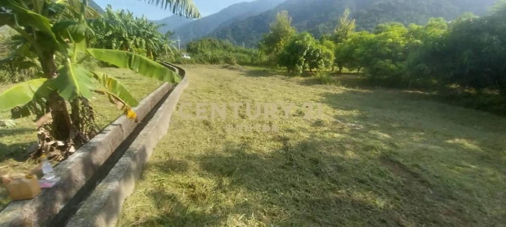 LC185金岳部落低總價足坪農地