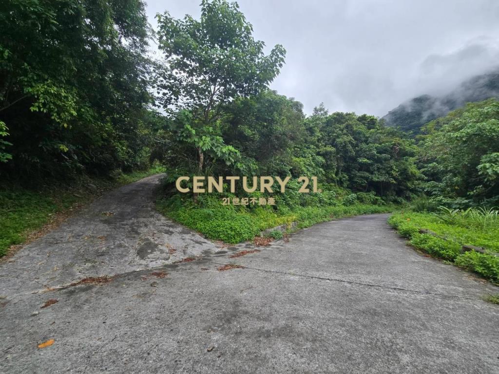 LC185金岳部落低總價足坪農地