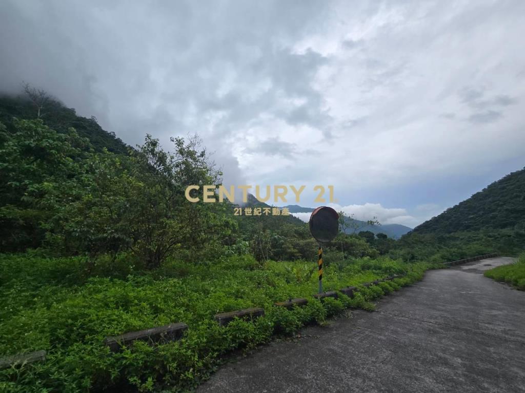 LC185金岳部落低總價足坪農地