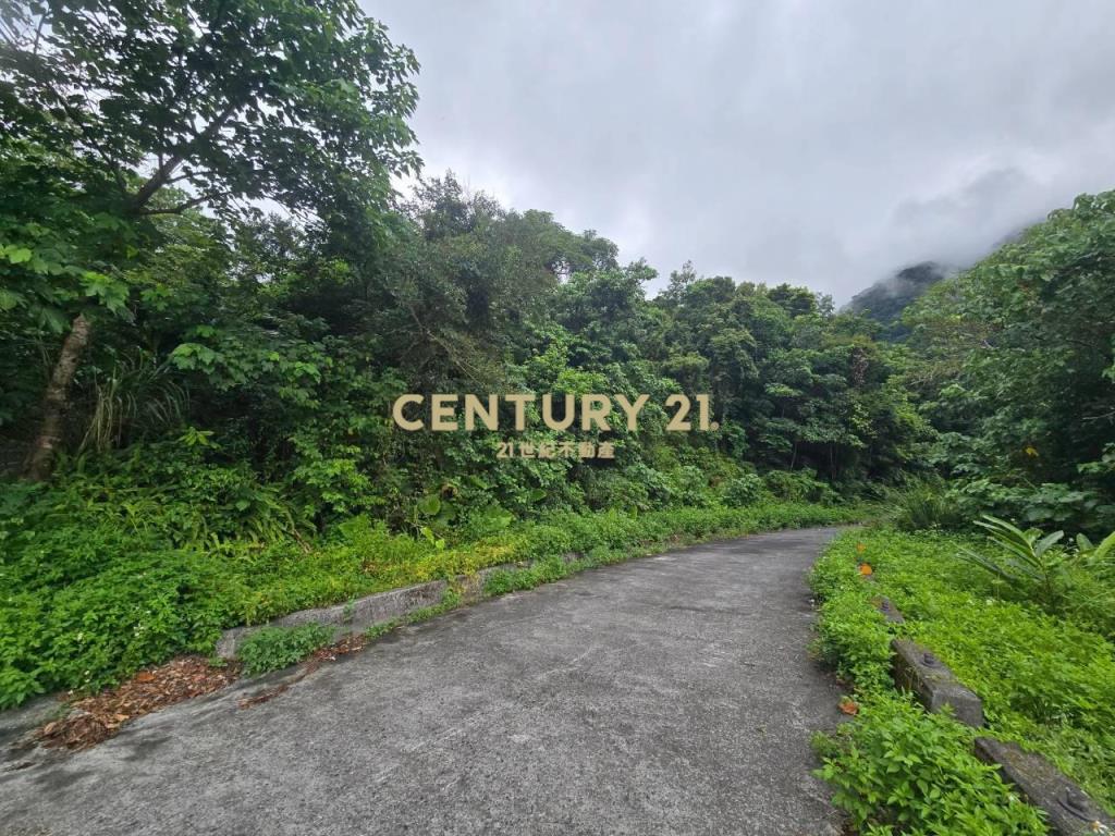 LC185金岳部落低總價足坪農地