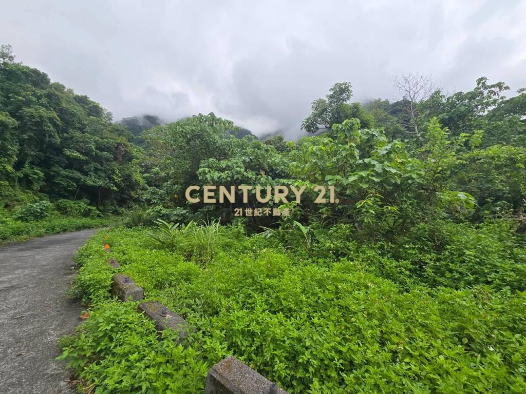 LC185金岳部落低總價足坪農地