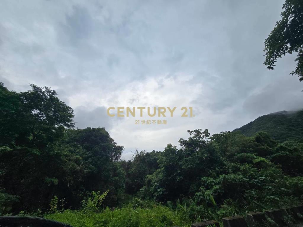 LC185金岳部落低總價足坪農地
