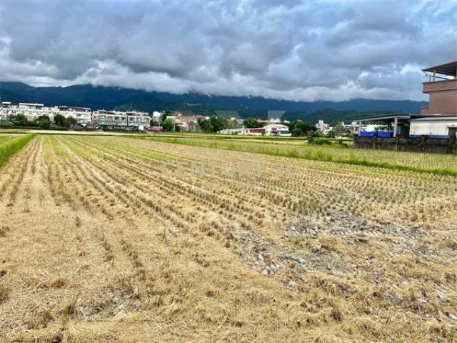 LC186新月森活都計大面寬美地