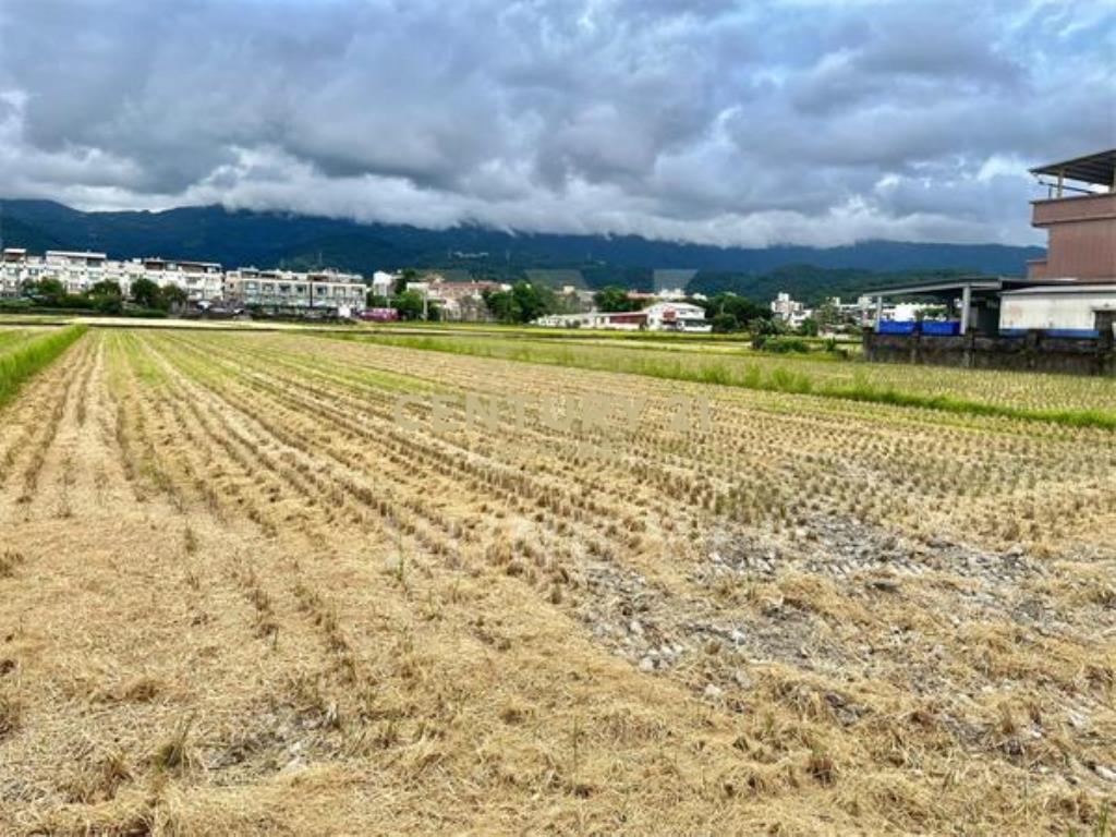 LC186新月森活都計大面寬美地