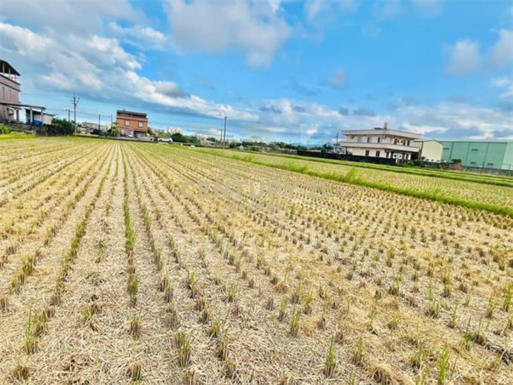 LC186新月森活都計大面寬美地