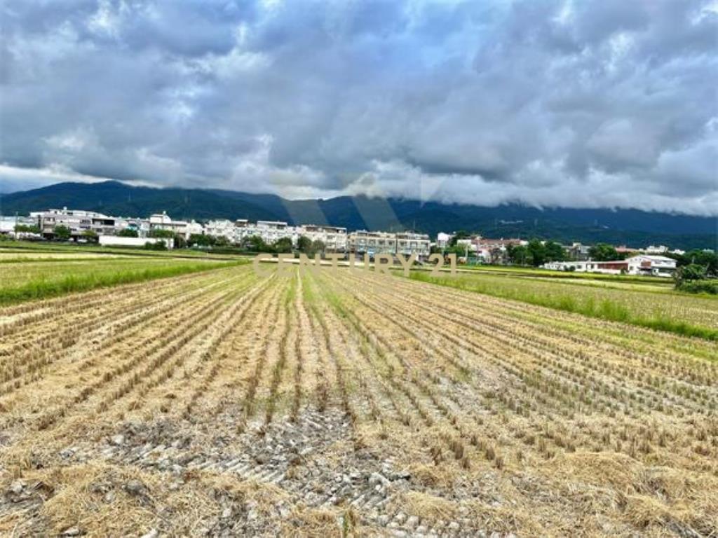 LC186新月森活都計大面寬美地