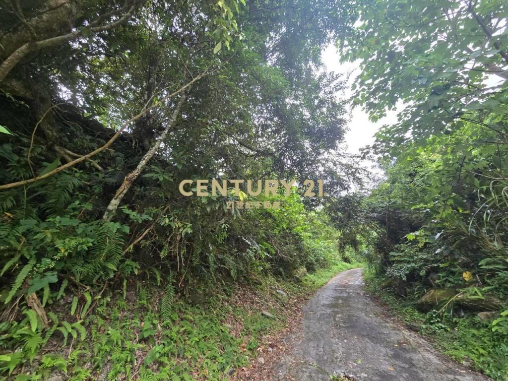 LC189金岳瀑布旁一甲大農地