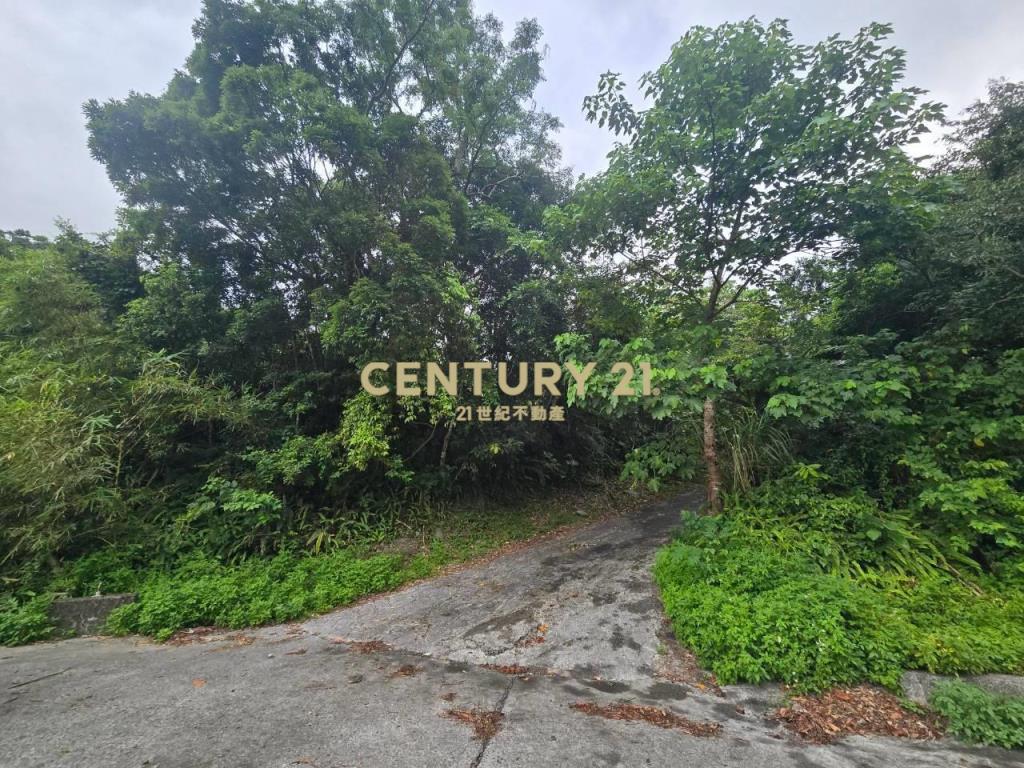 LC190南澳可輔助禁伐林地