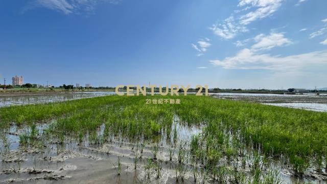 LC197五結新甲千坪農地