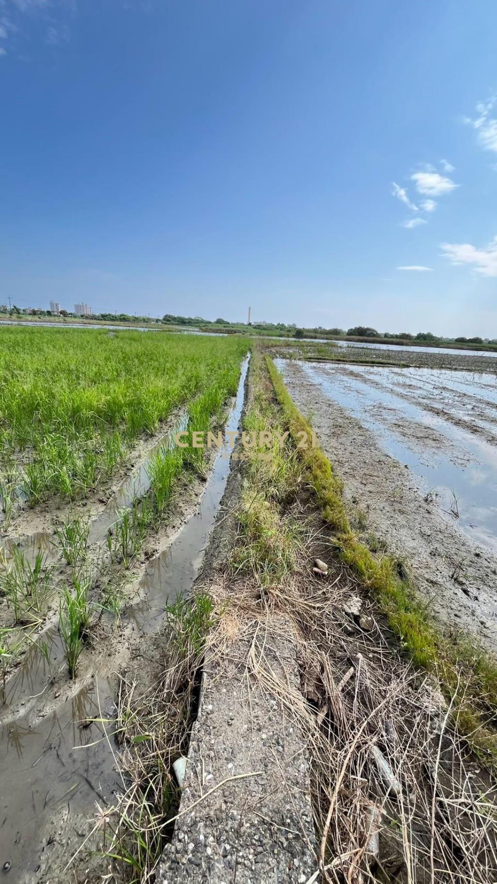 LC197五結新甲千坪農地