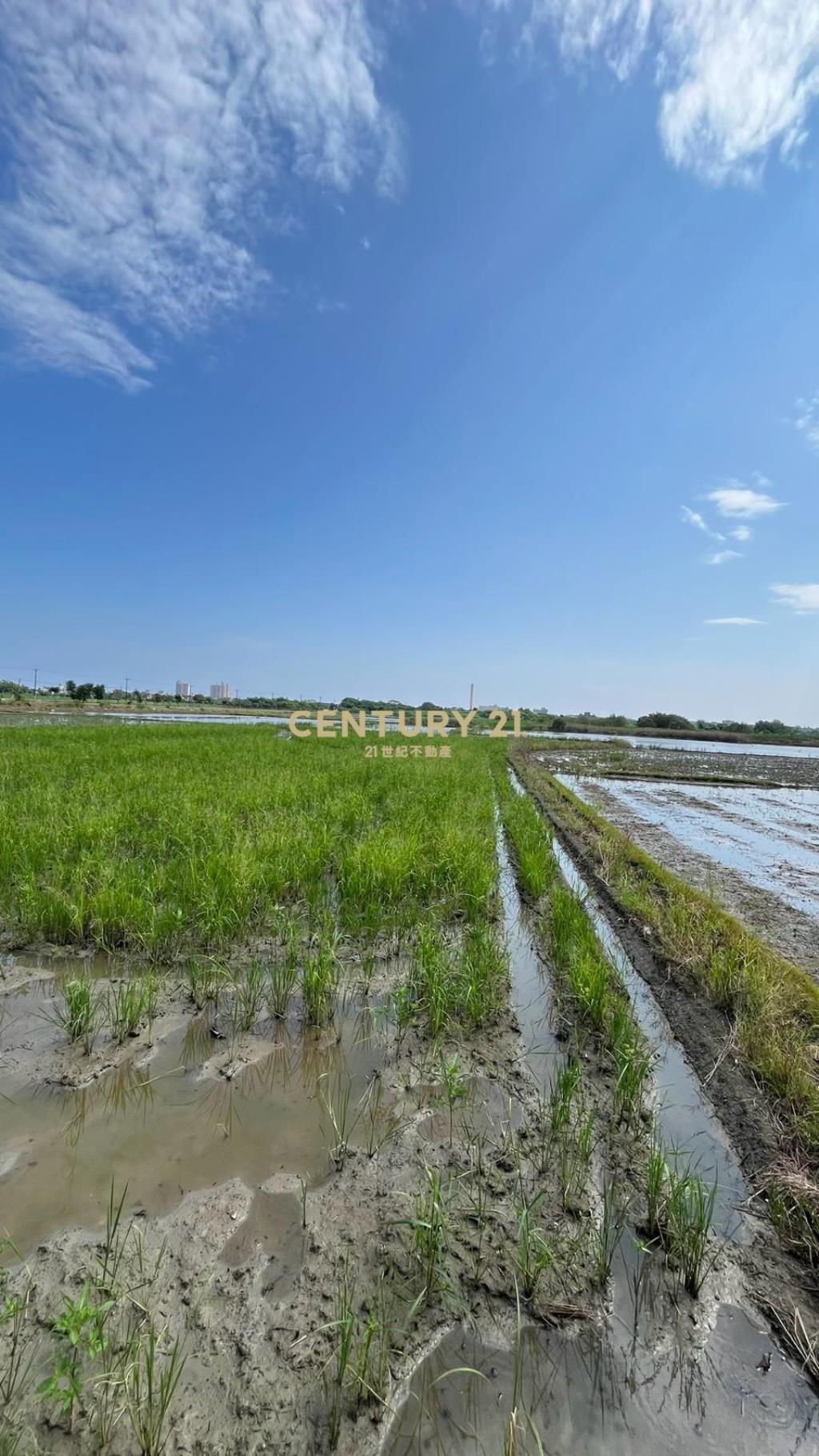 LC197五結新甲千坪農地