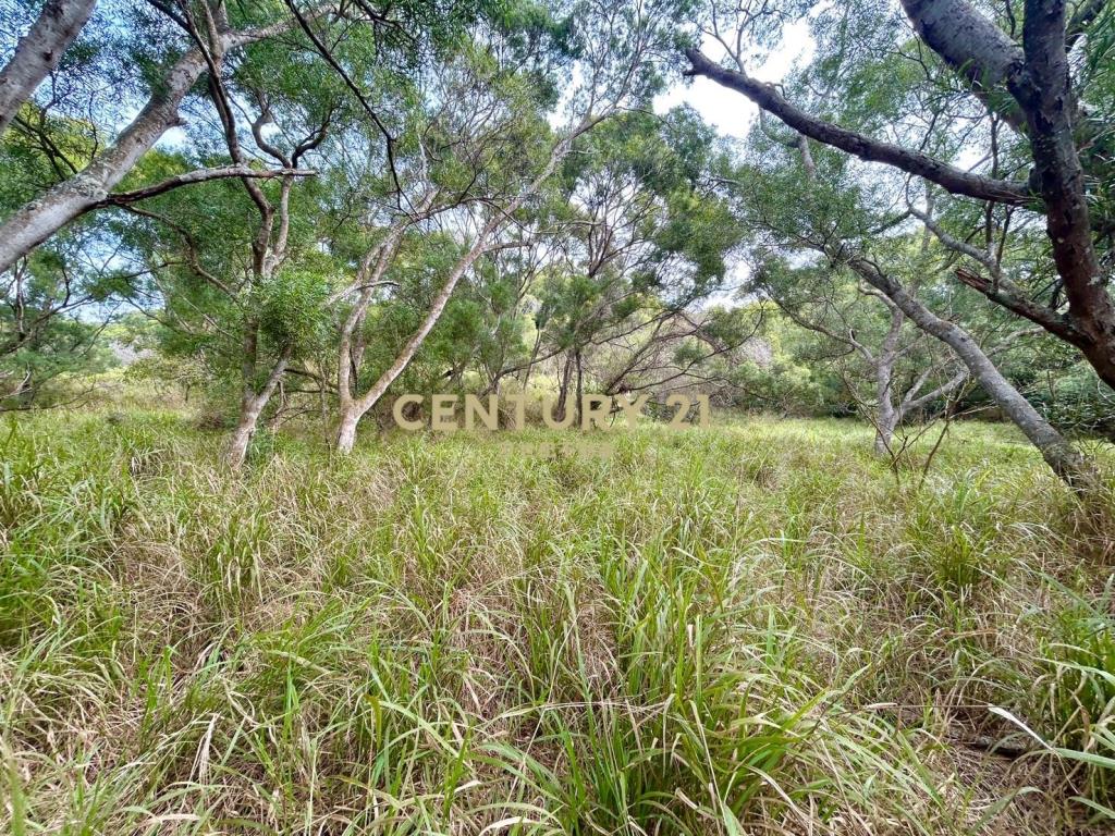 花壇燕窩博物館旁山坡地