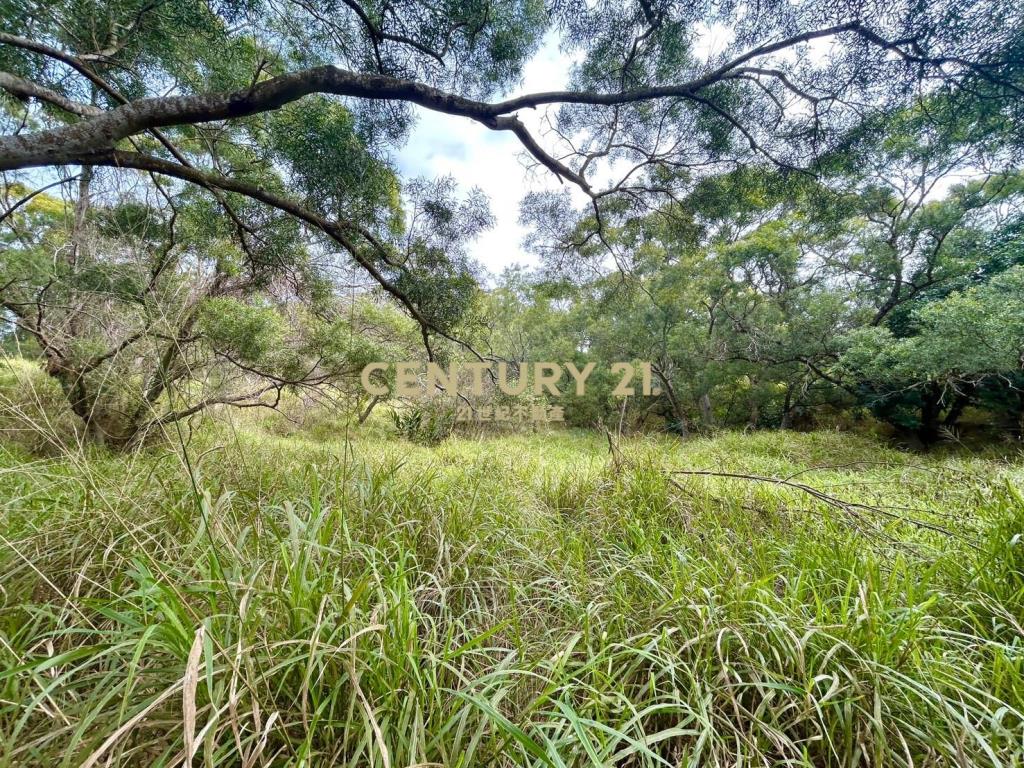 花壇燕窩博物館旁山坡地