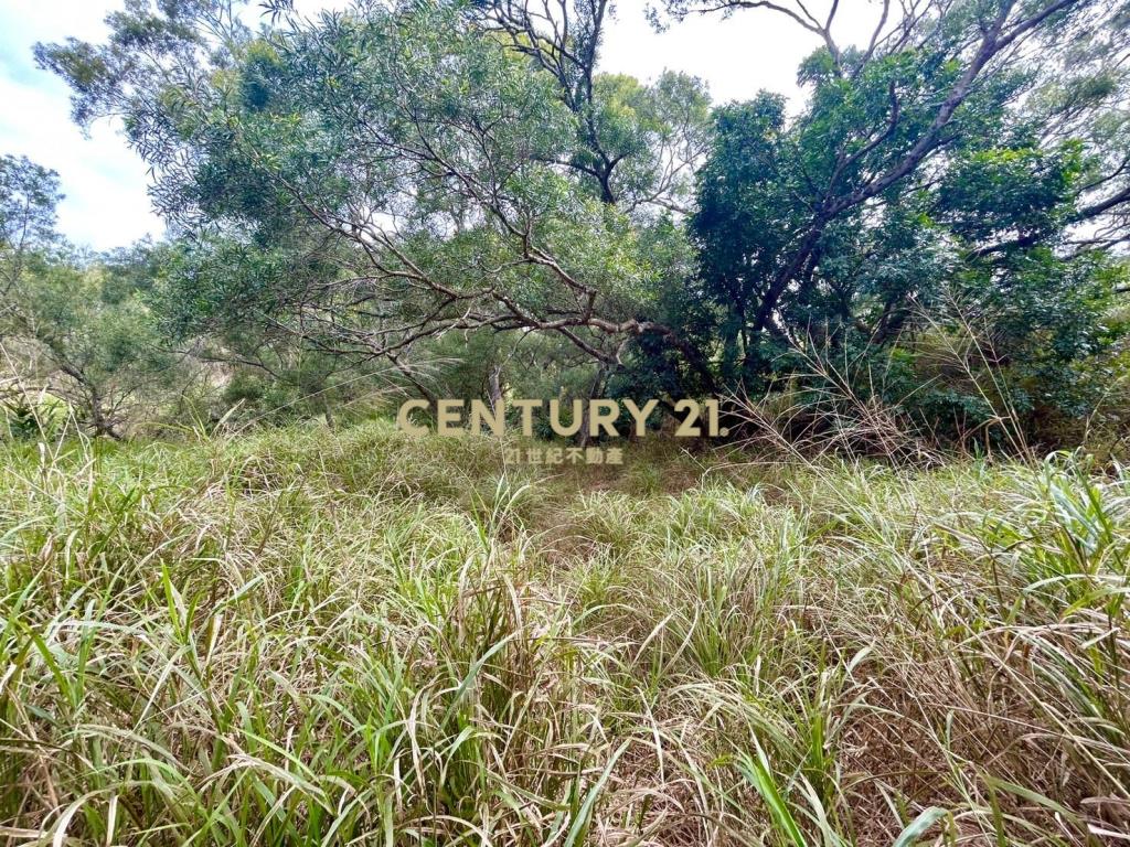 花壇燕窩博物館旁山坡地