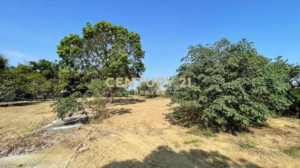 鹽水大地坪農地有水有電