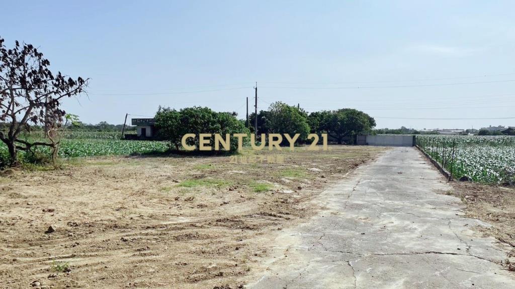 鹽水大地坪農地有水有電