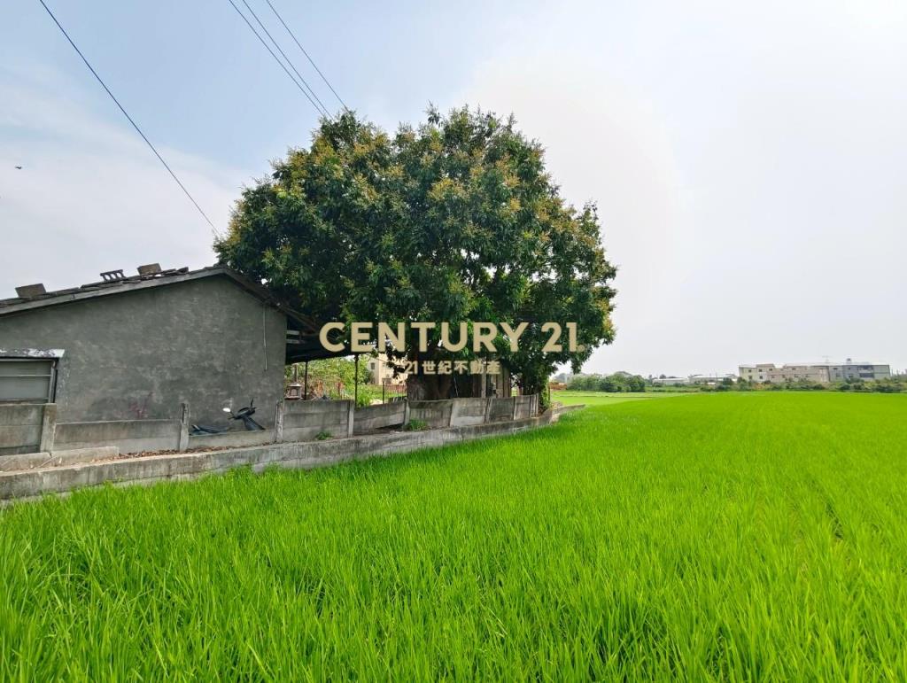 北斗大面寬百坪甲建+2分半農地