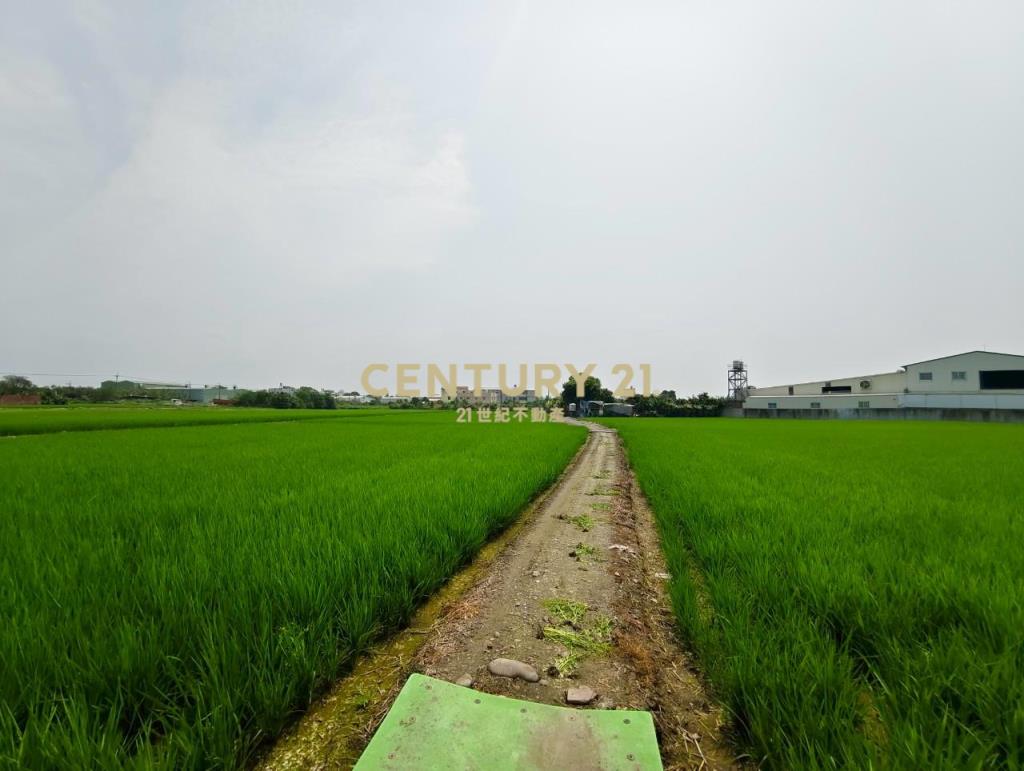 北斗大面寬百坪甲建+2分半農地