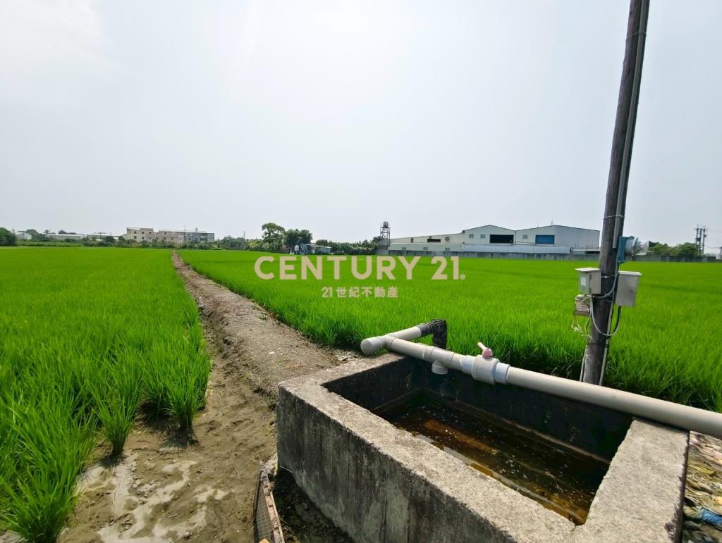 北斗大面寬百坪甲建+2分半農地