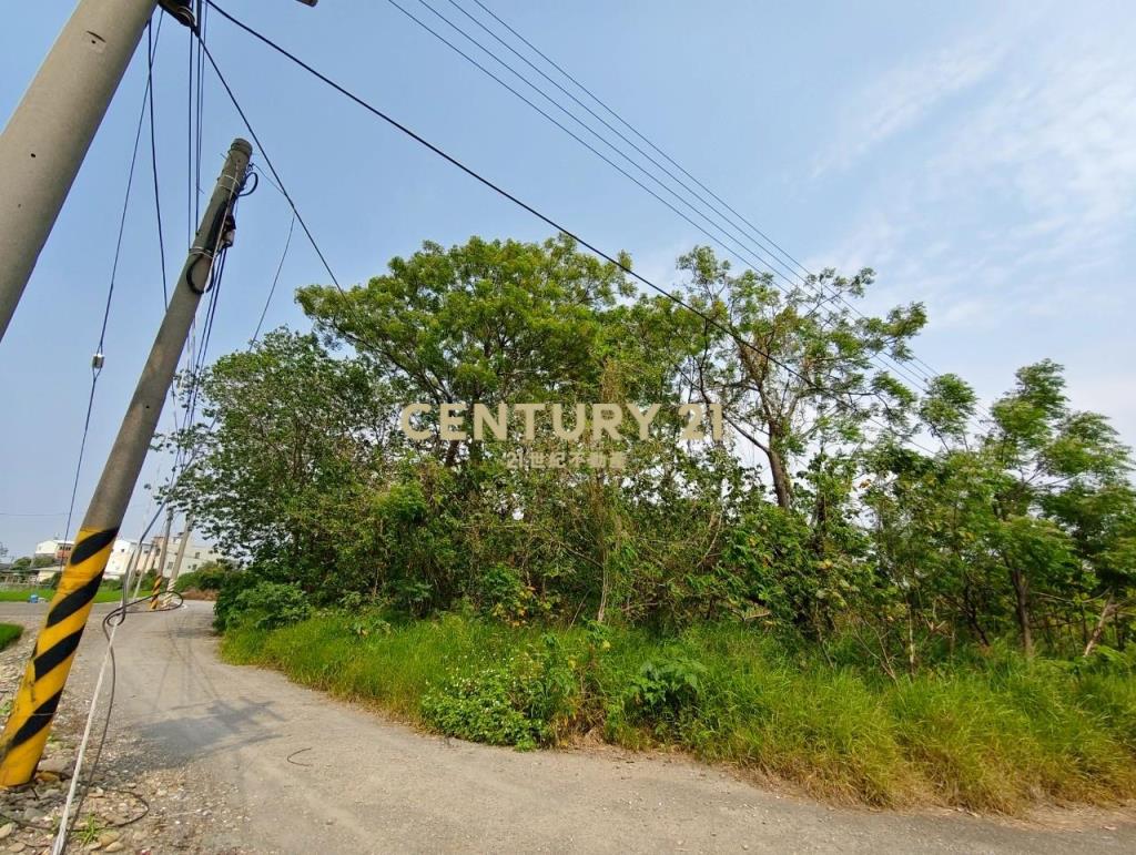 北斗大面寬百坪甲建+2分半農地