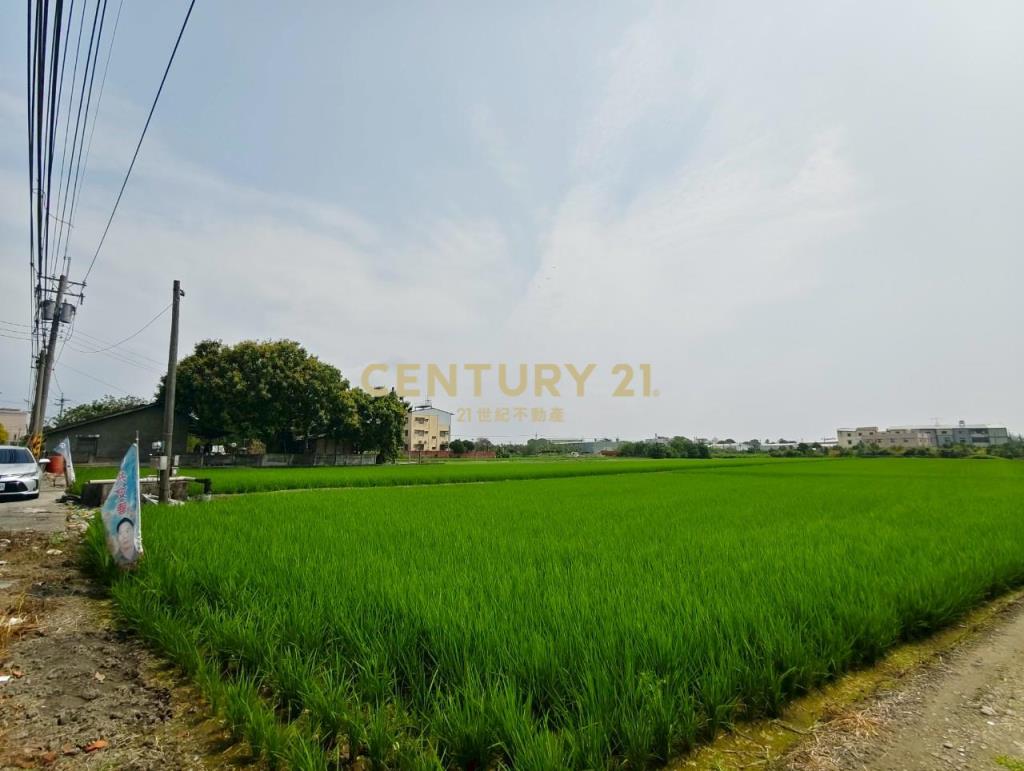 溪州中西段甲建