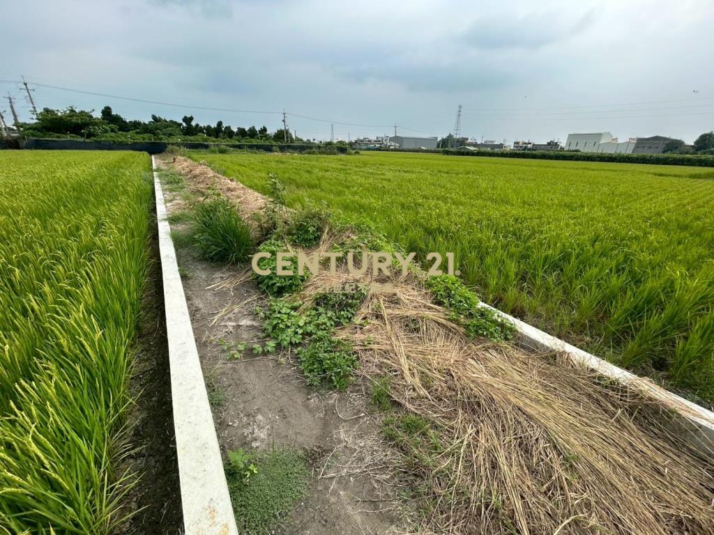 溪湖三興段農地