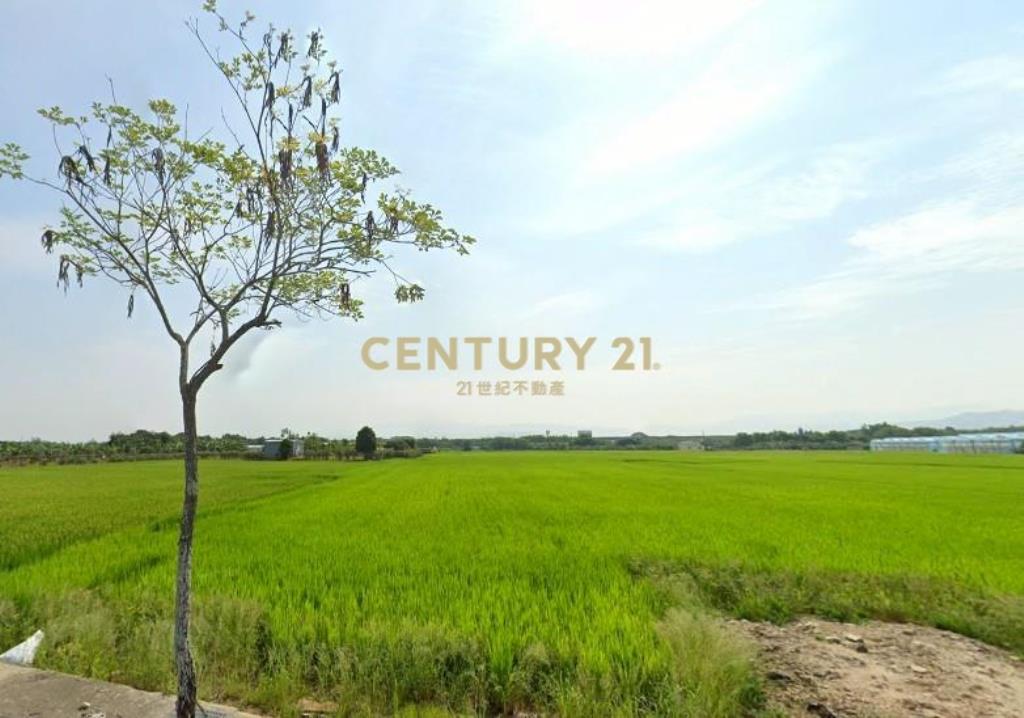 芬園正彰南路旁美農地