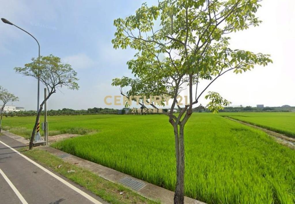 芬園正彰南路旁美農地