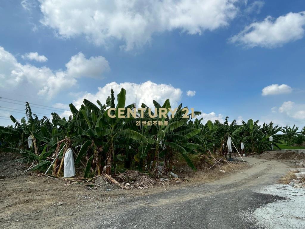 中投國三旁農建地