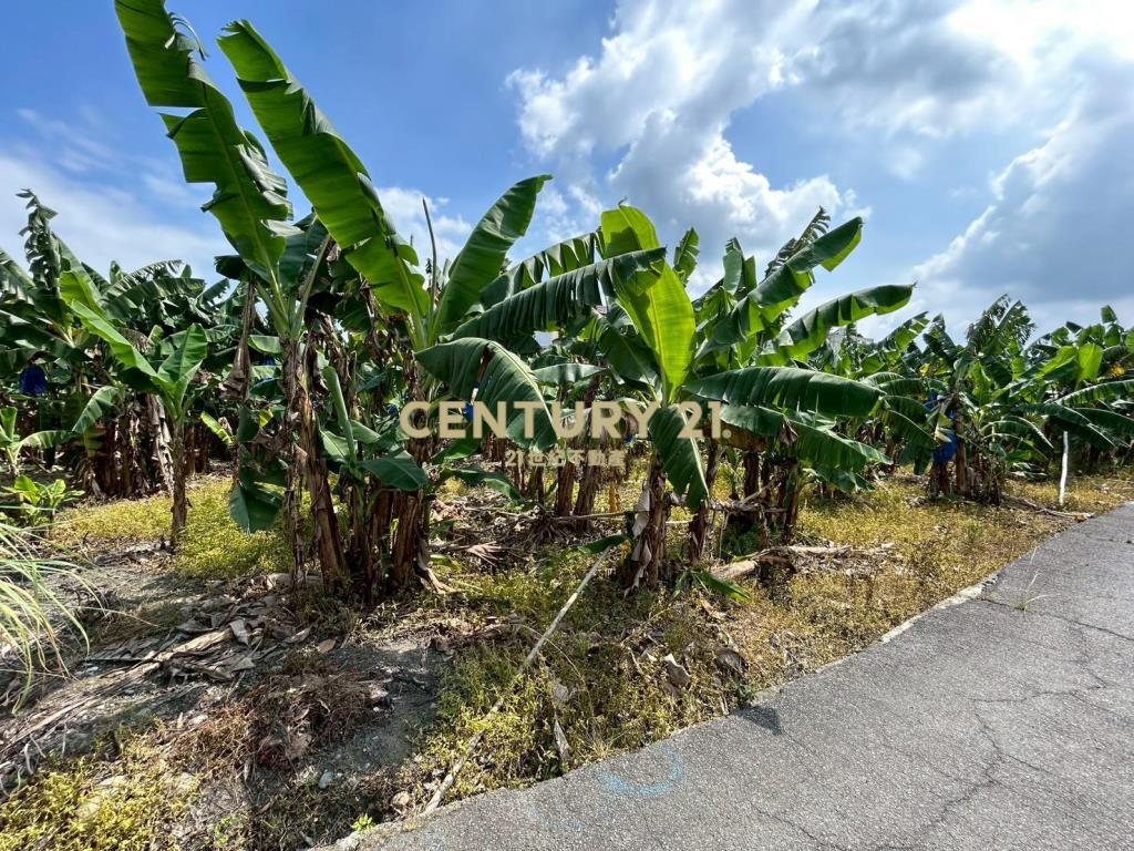 中投國三旁農建地