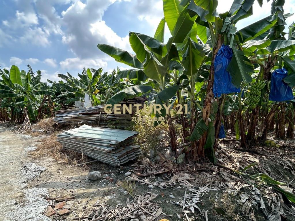 中投國三旁農建地