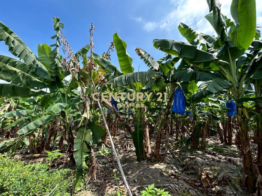 中投國三旁農建地