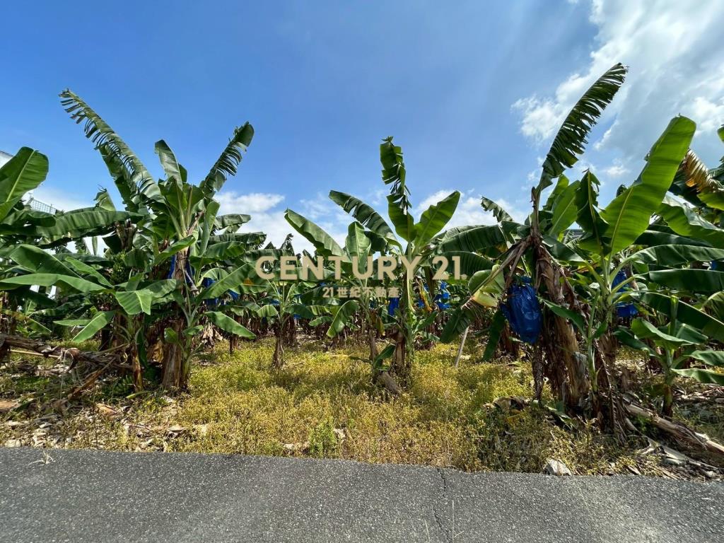 中投國三旁農建地