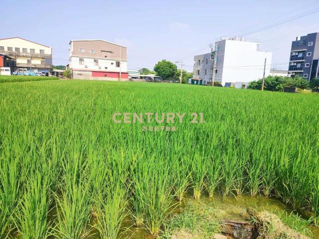 大雅中科特定計畫農地