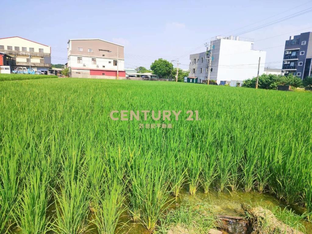 大雅中科特定計畫農地