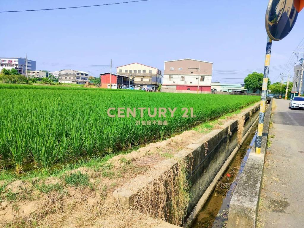 大雅中科特定計畫農地